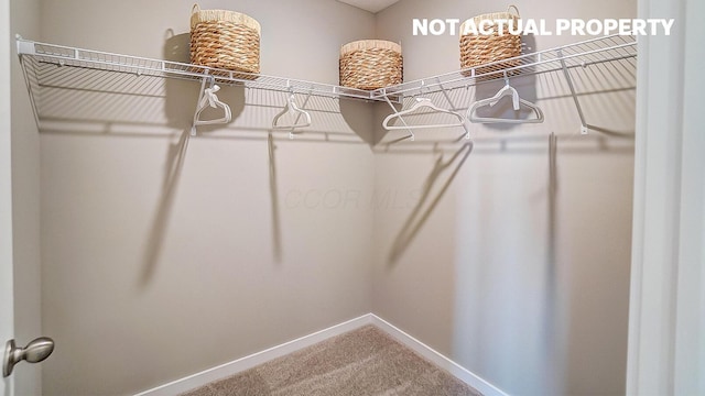 904 Allegro Dr, Reynoldsburg, OH 43068 - spacious closet with carpet