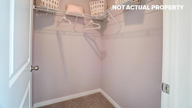 904 Allegro Dr, Reynoldsburg, OH 43068 - walk in closet with carpet