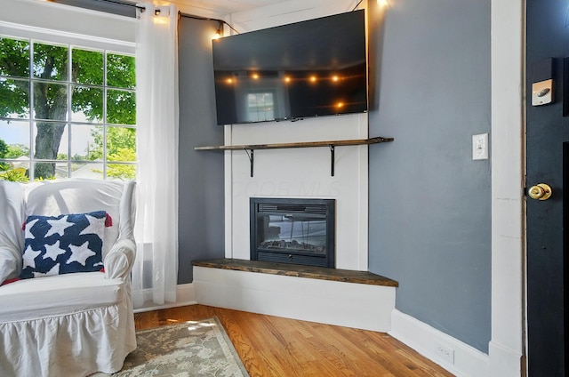 4 Greer St, Mount Vernon, OH 43050 - living area with a glass covered fireplace, wood finished floors, and baseboards