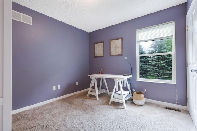 302 Streamwater Ct, Blacklick, OH 43004 - carpeted office space with healthy amount of natural light, baseboards, and a textured ceiling