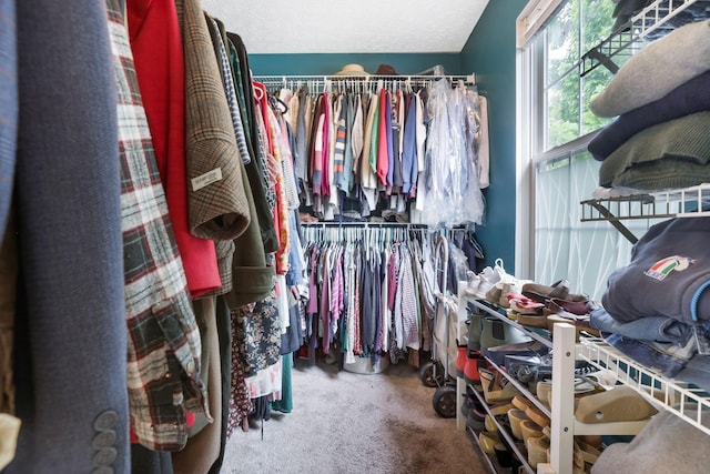 302 Streamwater Ct, Blacklick, OH 43004 - walk in closet with carpet flooring