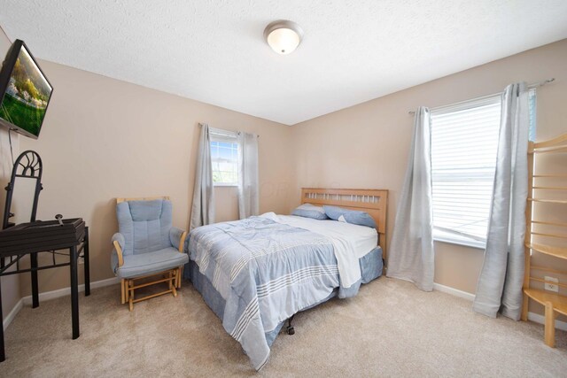 7619 Rippingale St, Blacklick, OH 43004 - bedroom with light carpet, baseboards, and a textured ceiling