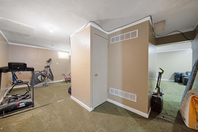 7619 Rippingale St, Blacklick, OH 43004 - workout room with carpet flooring, a textured ceiling, and baseboards