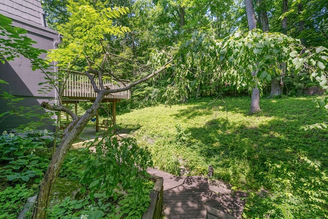 8121 Blind Brook Ct, Columbus, OH 43235 - view of green lawn with a deck