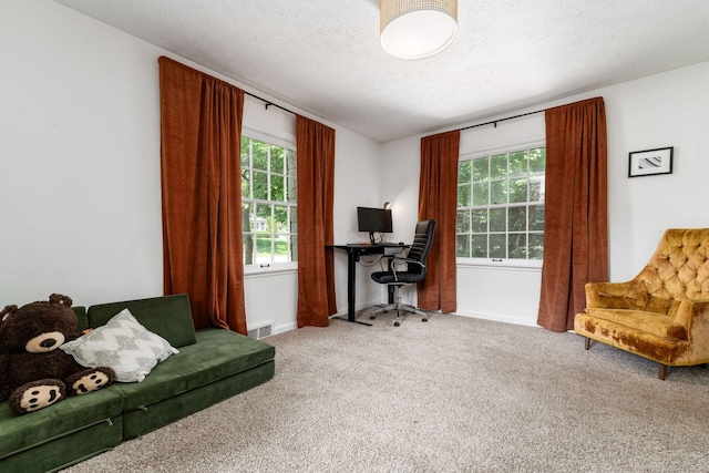 128 S Kellner Rd, Columbus, OH 43209 - carpeted home office featuring a textured ceiling and baseboards