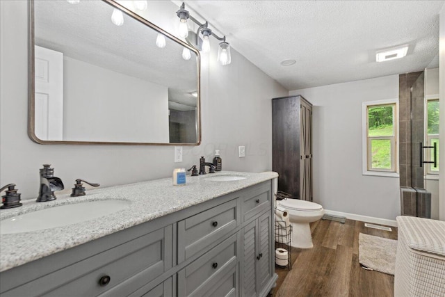 5895 Swartz Mill Rd SE, Sugar Grove, OH 43155 - bathroom with wood finished floors, toilet, double vanity, a textured ceiling, and an enclosed shower