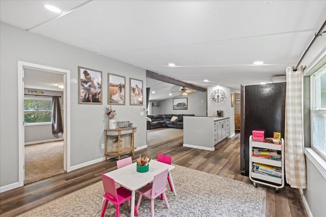 5895 Swartz Mill Rd SE, Sugar Grove, OH 43155 - recreation room with wood finished floors, vaulted ceiling, baseboards, recessed lighting, and a ceiling fan