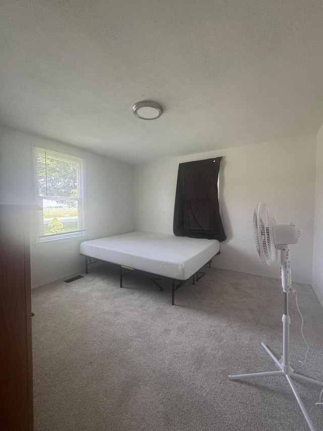 53 State St, Jeffersonville, OH 43128 - carpeted bedroom featuring a textured ceiling