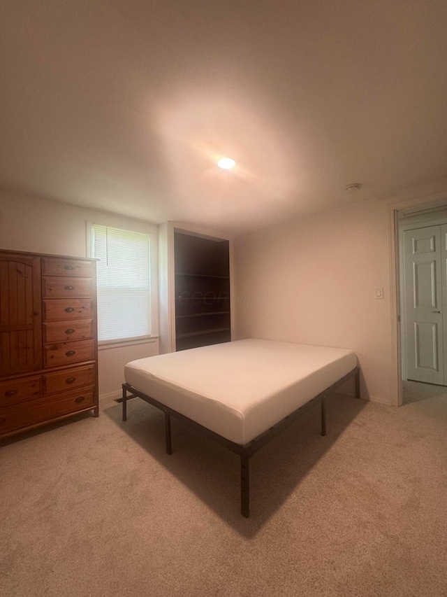 53 State St, Jeffersonville, OH 43128 - view of carpeted bedroom