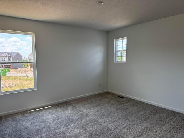 3323 Tender Ave Lot 7165, Powell, OH 43065 - unfurnished room featuring carpet floors and a textured ceiling