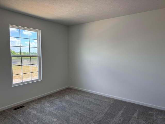 3323 Tender Ave Lot 7165, Powell, OH 43065 - empty room featuring dark carpet and a textured ceiling