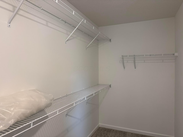3323 Tender Ave Lot 7165, Powell, OH 43065 - spacious closet featuring carpet floors