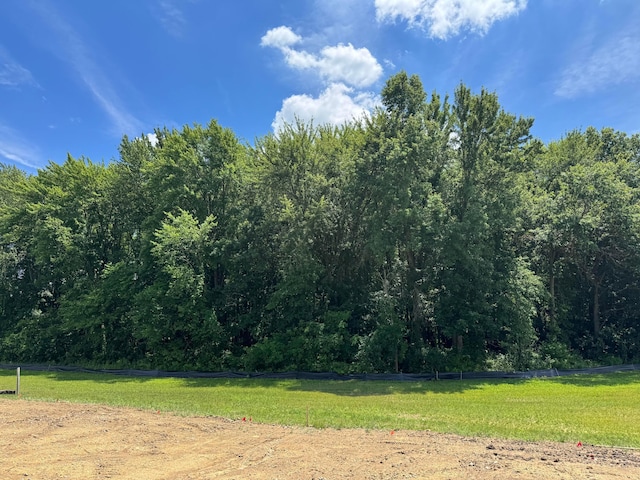 3323 Tender Ave Lot 7165, Powell, OH 43065 - view of grassy yard with a forest view