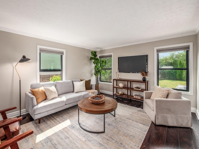3579 Aaron Dr, Columbus, OH 43228 - living room with wood finished floors, baseboards, crown molding, and a textured ceiling