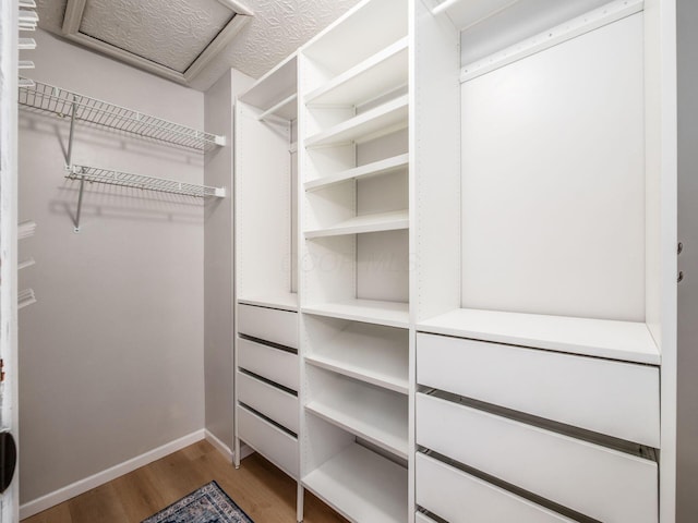 3579 Aaron Dr, Columbus, OH 43228 - spacious closet with wood finished floors and attic access