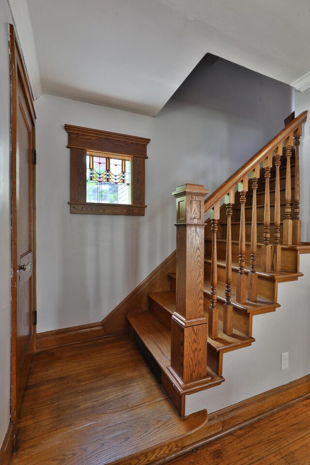 203 Winthrop Rd, Columbus, OH 43214 - stairway with hardwood / wood-style flooring and baseboards
