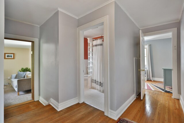203 Winthrop Rd, Columbus, OH 43214 - hall with wood finished floors, baseboards, and crown molding