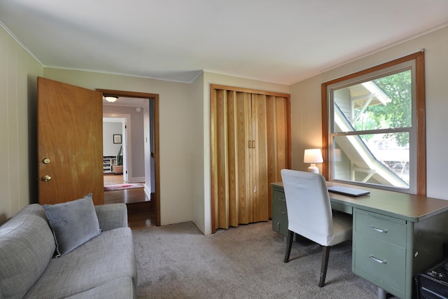 203 Winthrop Rd, Columbus, OH 43214 - office area featuring crown molding and light carpet