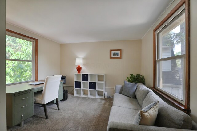 203 Winthrop Rd, Columbus, OH 43214 - office area featuring plenty of natural light and light colored carpet