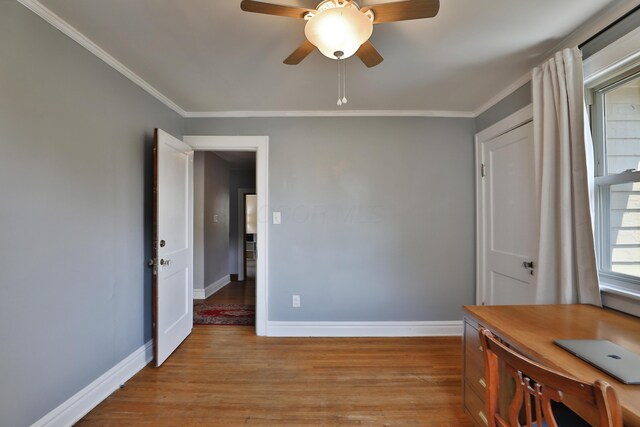 203 Winthrop Rd, Columbus, OH 43214 - home office featuring light wood-style floors, baseboards, crown molding, and a ceiling fan