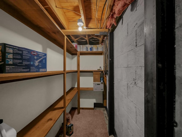 8587 Blacks Rd, Pataskala, OH 43062 - view of storage