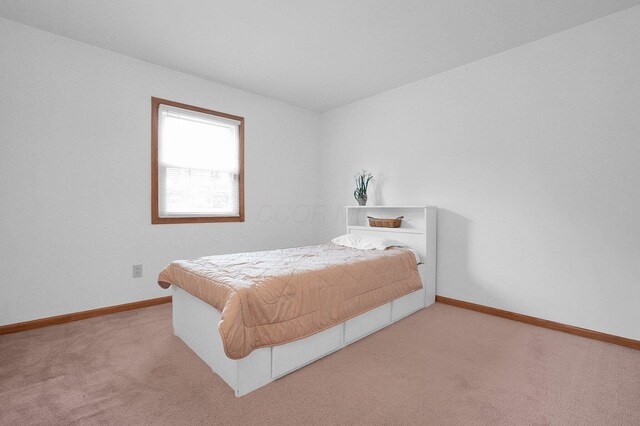 3775 Johnstown Alexandria Rd, Johnstown, OH 43031 - photo 28