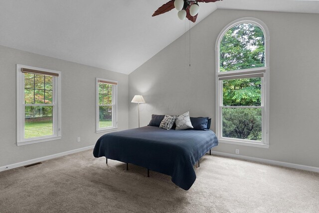 6233 Coonpath Rd NW, Carroll, OH 43112 - carpeted bedroom with multiple windows, lofted ceiling, and a ceiling fan