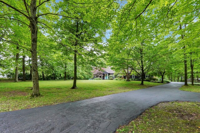6233 Coonpath Rd NW, Carroll, OH 43112 - view of home's community with a yard and asphalt driveway