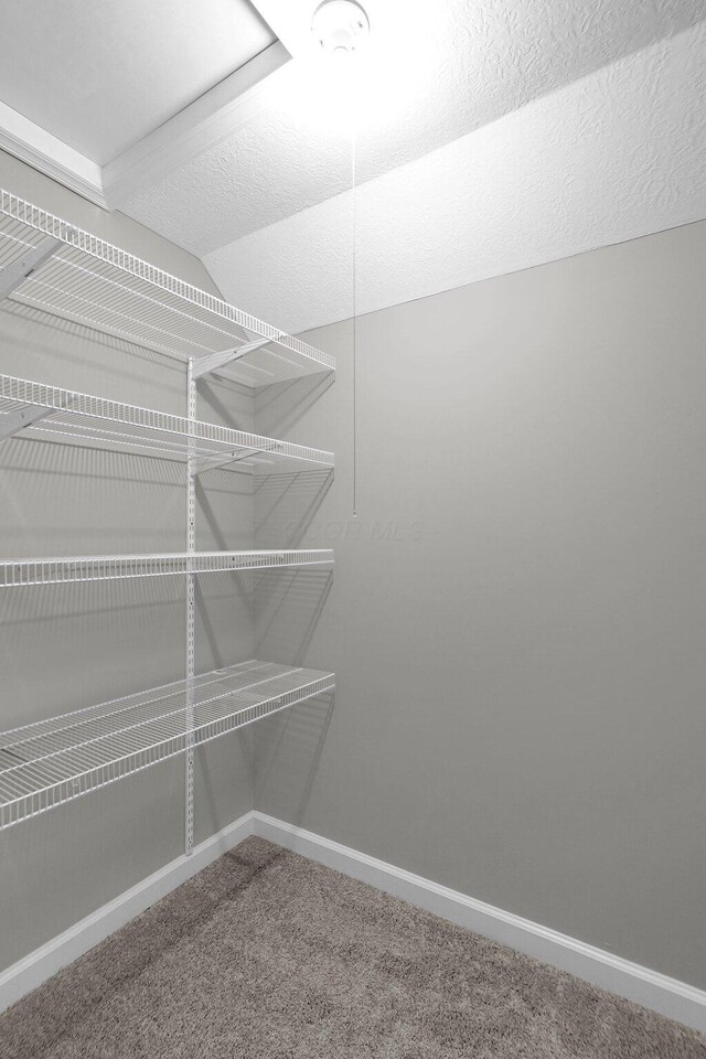 6233 Coonpath Rd NW, Carroll, OH 43112 - walk in closet featuring carpet flooring and lofted ceiling