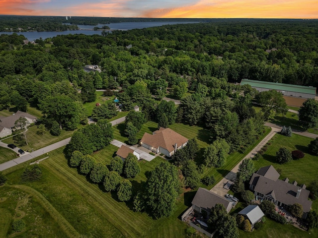 5337 Teresas Trl, Galena, OH 43021 - aerial view at dusk of a water view and a forest view