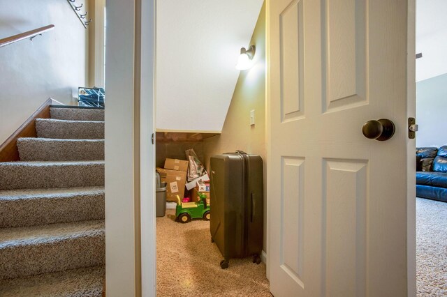 765 Huntley Ave, Logan, OH 43138 - stairs featuring carpet flooring