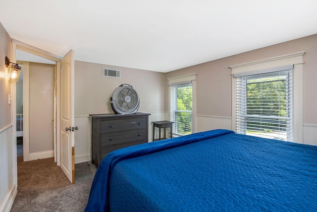 26110 Big Pine Rd, Rockbridge, OH 43149 - bedroom featuring wainscoting and carpet floors