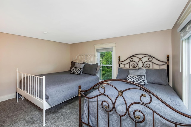 26110 Big Pine Rd, Rockbridge, OH 43149 - view of carpeted bedroom