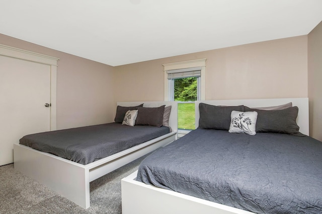 26110 Big Pine Rd, Rockbridge, OH 43149 - view of carpeted bedroom