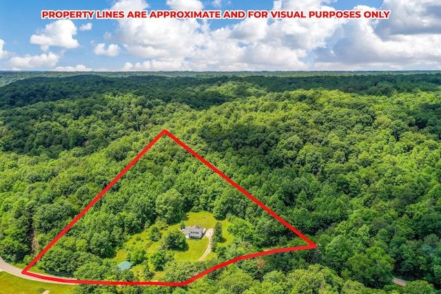 26110 Big Pine Rd, Rockbridge, OH 43149 - aerial view of property and surrounding area featuring a heavily wooded area and property boundaries highlighted
