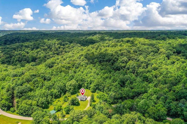 26110 Big Pine Rd, Rockbridge, OH 43149 - aerial view of a forest