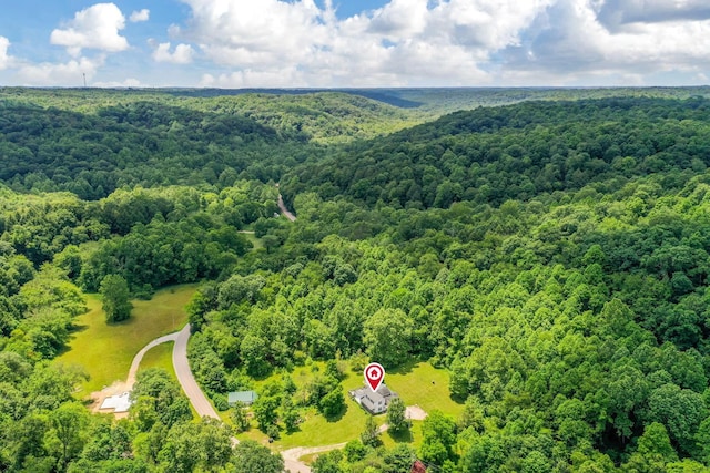 26110 Big Pine Rd, Rockbridge, OH 43149 - bird's eye view of a heavily wooded area