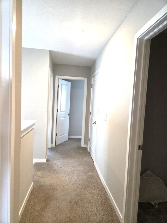 1480 Hansberry Dr, Lithopolis, OH 43136 - photo 22