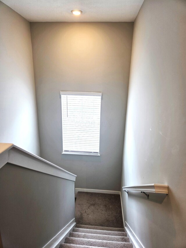 1480 Hansberry Dr, Lithopolis, OH 43136 - photo 17