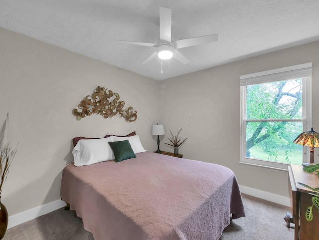 2908 Torrey Pines Dr, Pickerington, OH 43147 - carpeted bedroom with baseboards and a ceiling fan