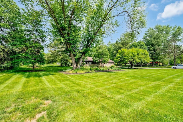 6140 Harrisburg Georgesville Rd, Grove City, OH 43123 - photo 7