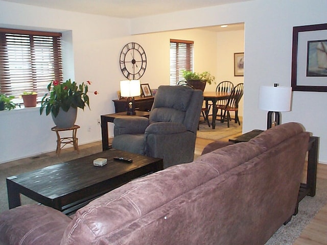 652 Olde Towne Ave Unit E, Columbus, OH 43214 - living room with wood finished floors