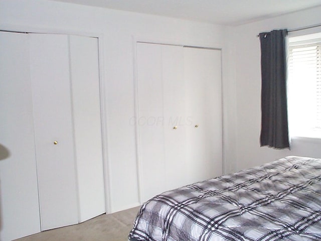 652 Olde Towne Ave Unit E, Columbus, OH 43214 - bedroom with two closets and carpet flooring