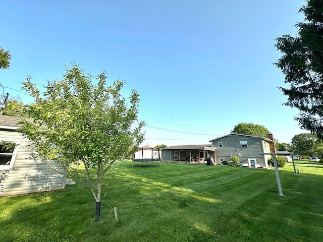 128 Ivy St, Newark, OH 43055 - view of grassy yard with a trampoline