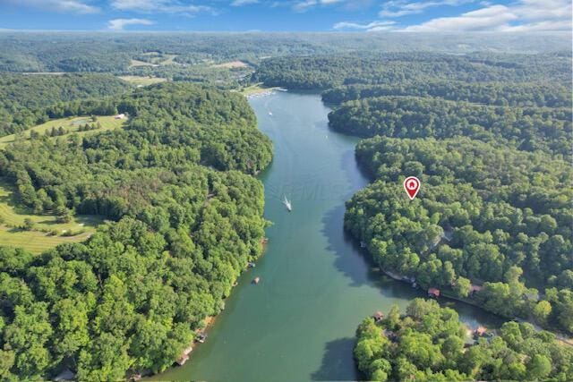1275 Taos Ln, Sugar Grove, OH 43155 - bird's eye view of a large body of water and a forest