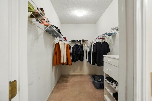 583 Marhurst Ct, Galloway, OH 43119 - walk in closet with carpet