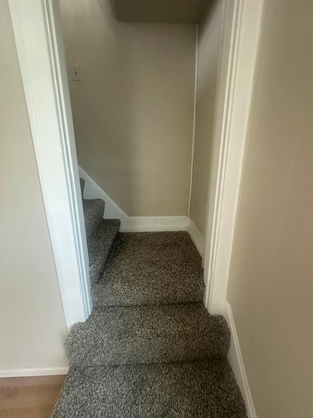 600 N Maple St, Lancaster, OH 43130 - stairway featuring carpet and baseboards
