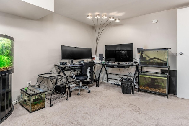 169 Malloy Ln Unit 23A, Blacklick, OH 43004 - photo 21