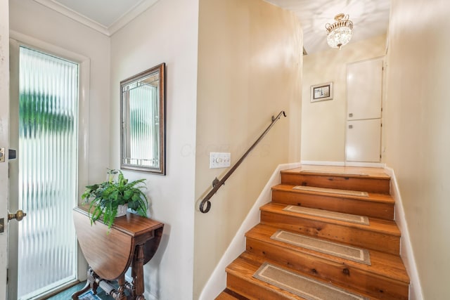 2171 Northam Rd, Columbus, OH 43221 - staircase with ornamental molding and baseboards