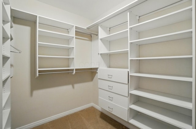 250 Daniel Burnham Sq Unit 304, Columbus, OH 43215 - spacious closet featuring carpet flooring